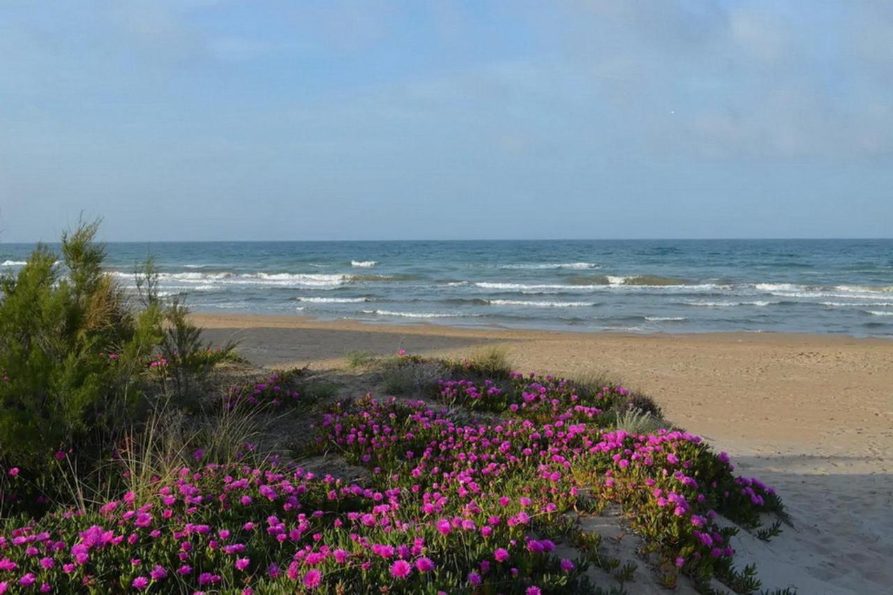 דירות Les Deveses Estrella Del Mar, Denia מראה חיצוני תמונה